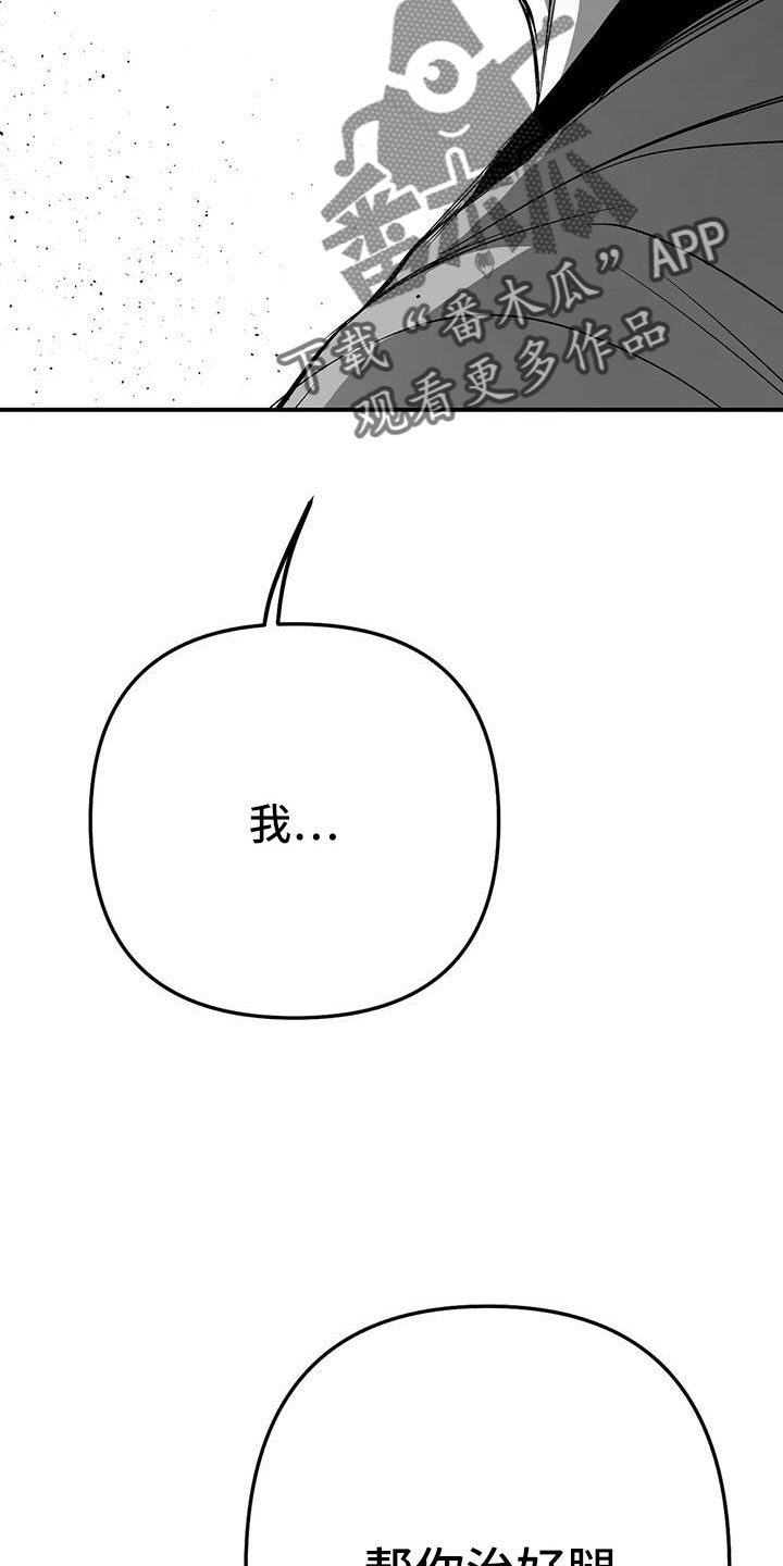 拳击手漫画,第219章：【第三季】帮你治腿1图
