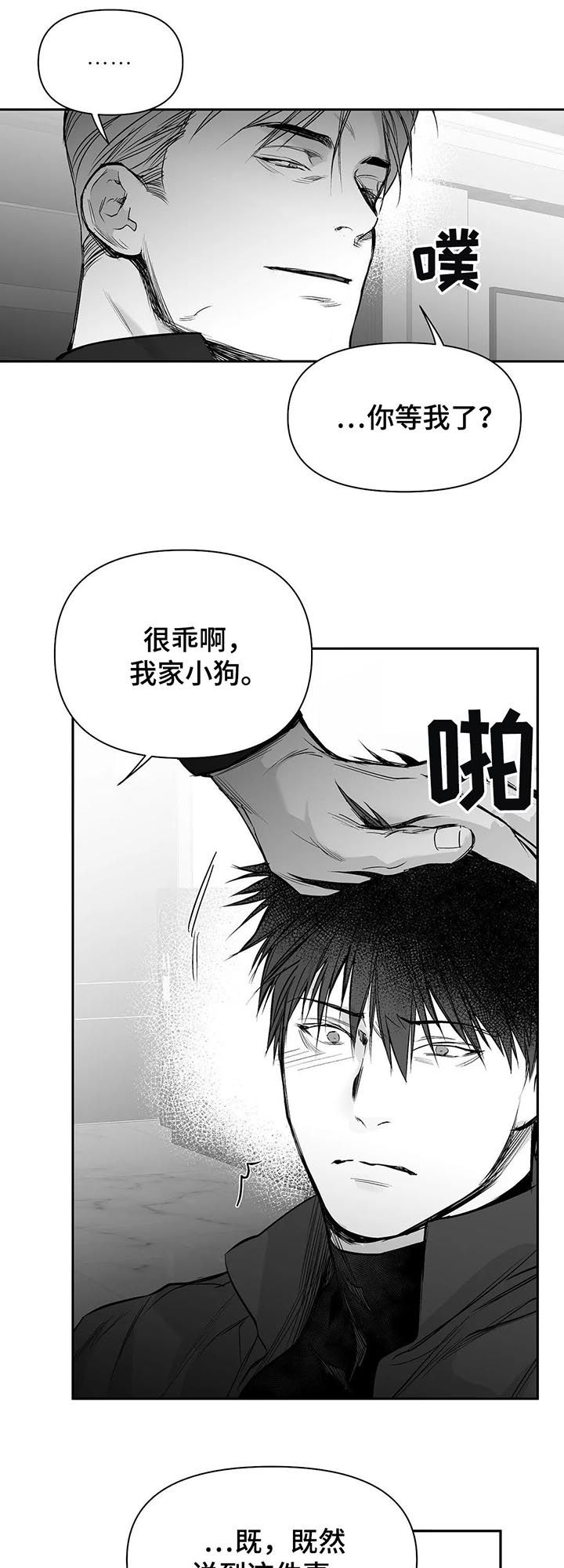 拳击手漫画,第108章：【第二季】调查1图