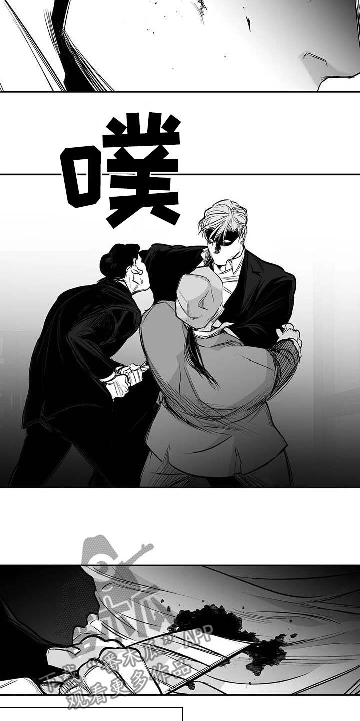 拳击手漫画,第160章：【第三季】亲自收拾1图