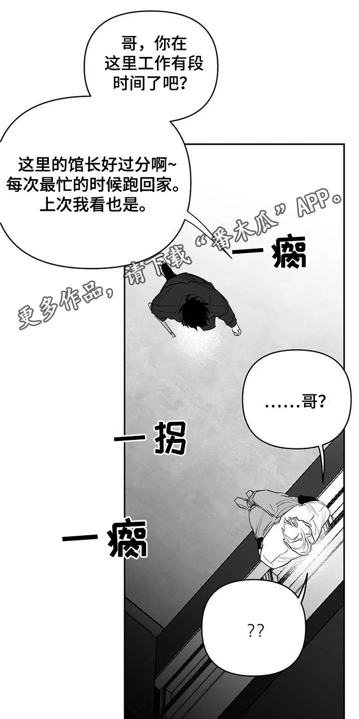 拳击手漫画,第162章：【第三季】大干一场1图