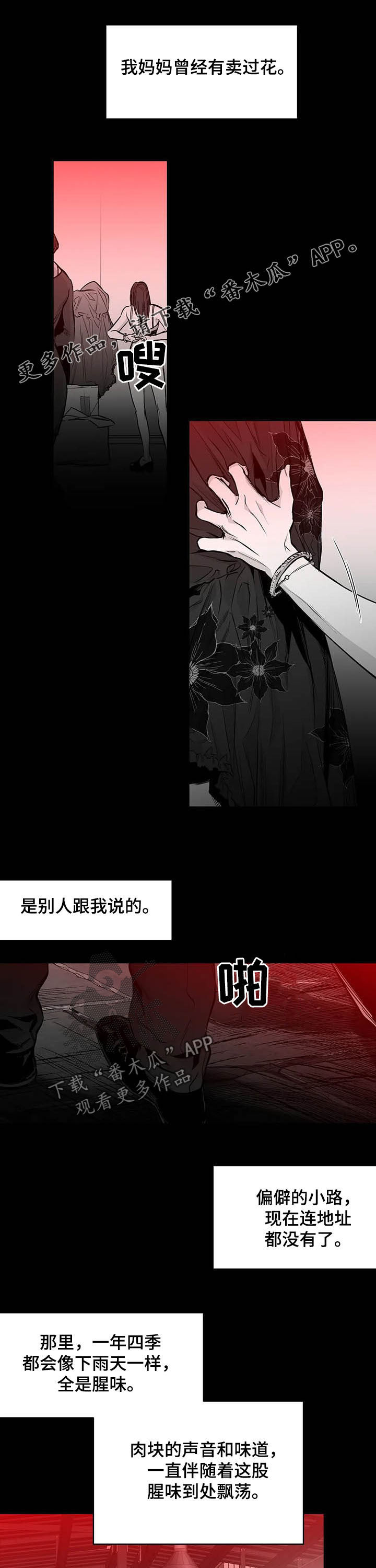 拳击手漫画,第135章：【第二季】母亲1图