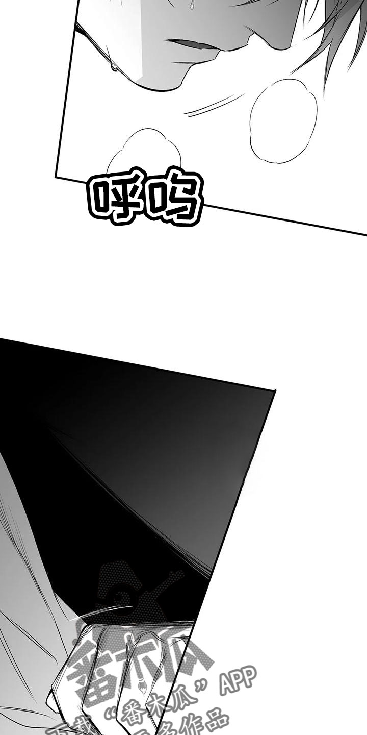 拳击手漫画,第200章：【第三季】开始行动1图
