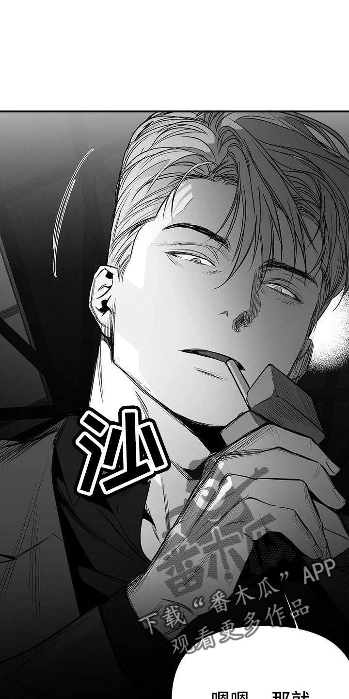 拳击手漫画,第200章：【第三季】开始行动1图