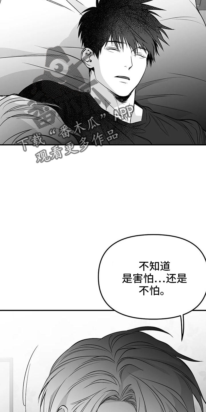 拳击手漫画,第199章：【第三季】怎么才能喜欢1图