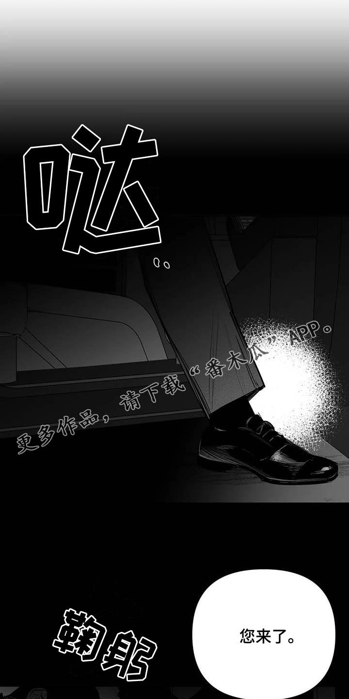 拳击手漫画,第166章：【第三季】傻瓜1图