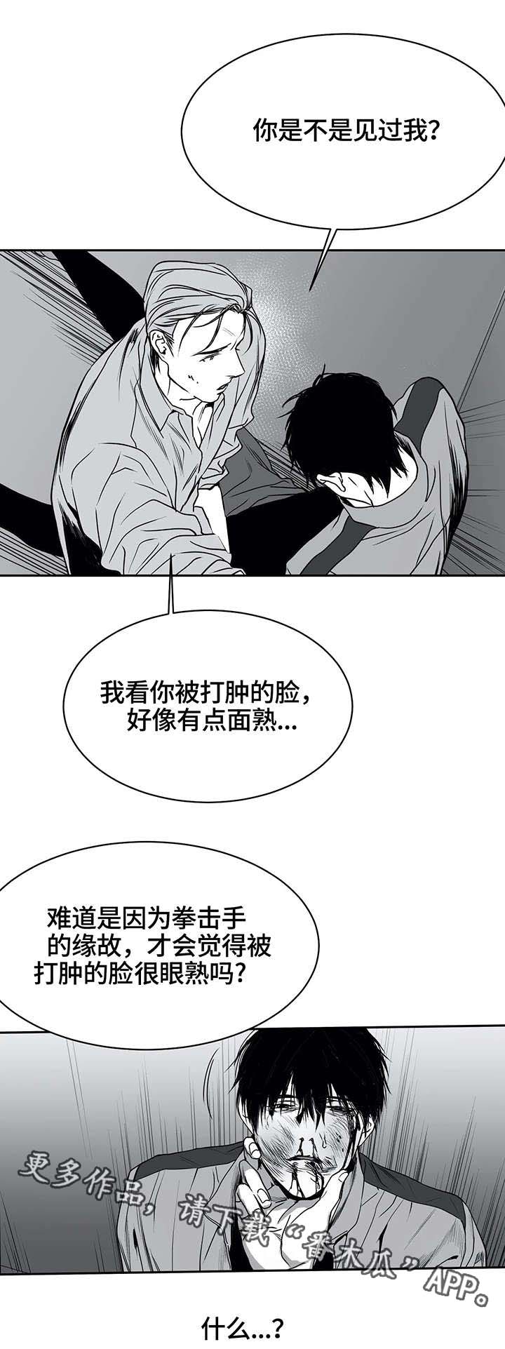 拳击手漫画,第6章：挣扎1图