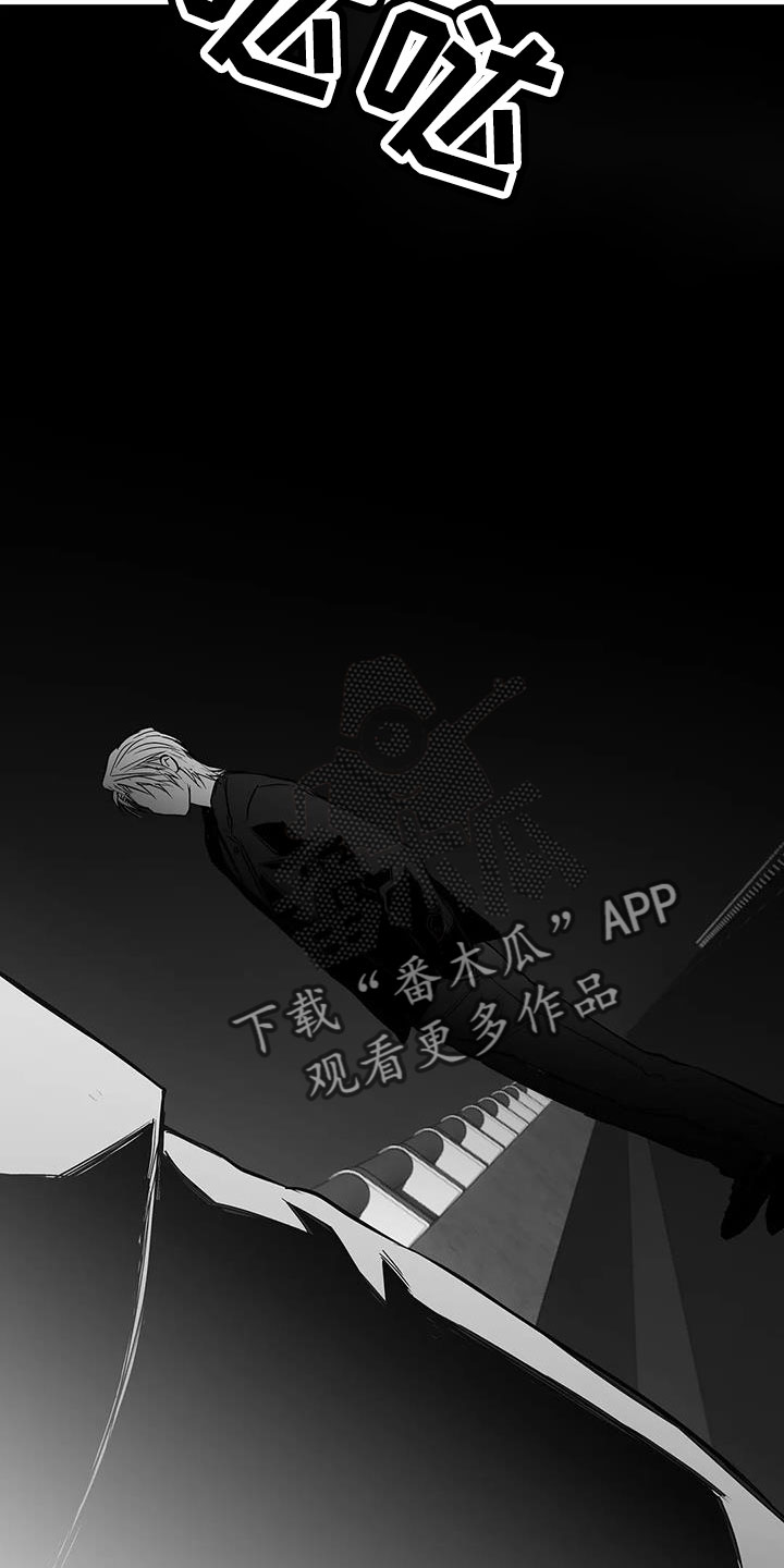 拳击手漫画,第220章：【第三季】送你回去2图