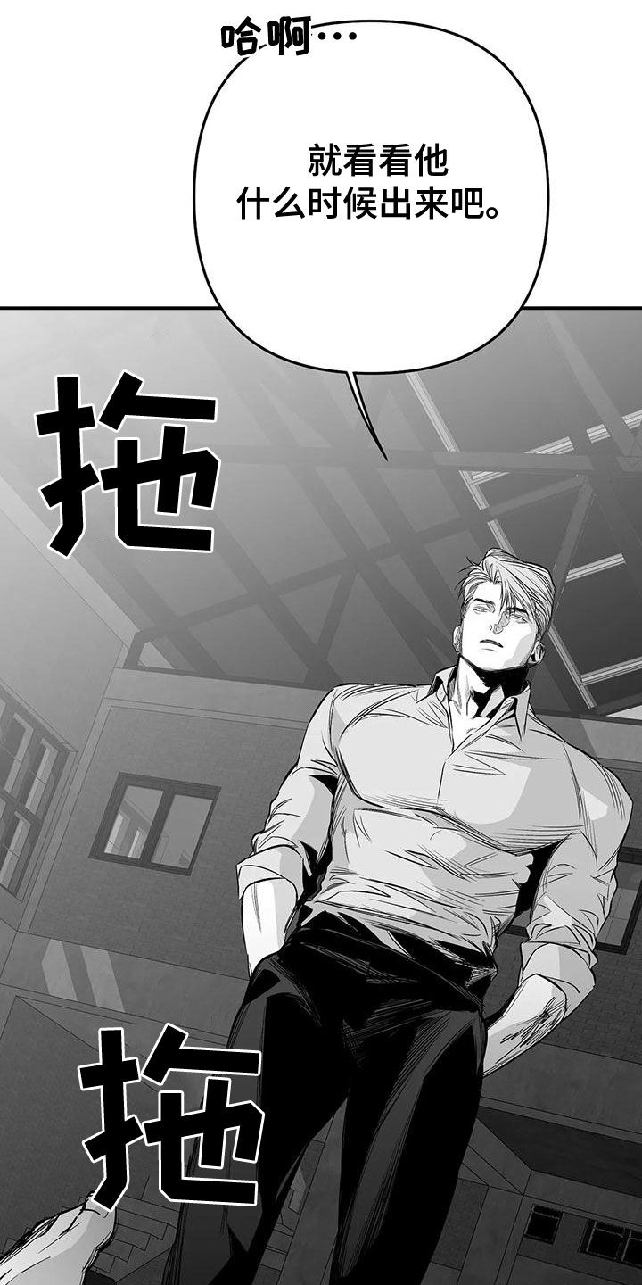 拳击手漫画,第195章：【第三季】蛇抬头2图