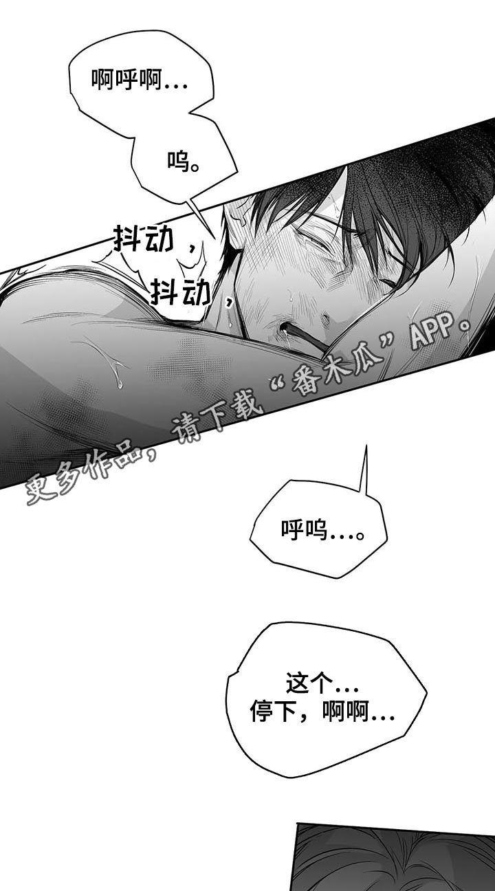拳击手漫画,第122章：【第二季】一切都会好起来1图