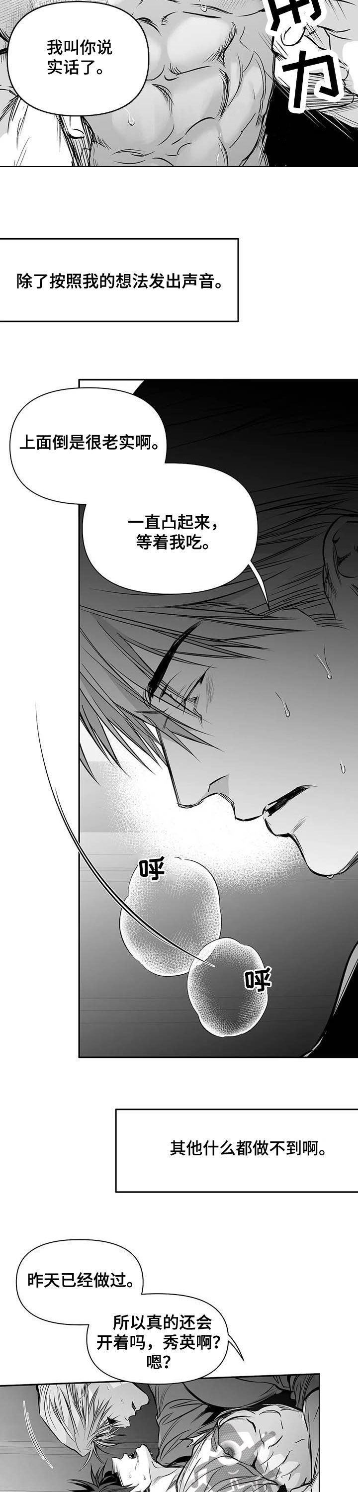 拳击手漫画,第139章：【第二季】你是我的1图