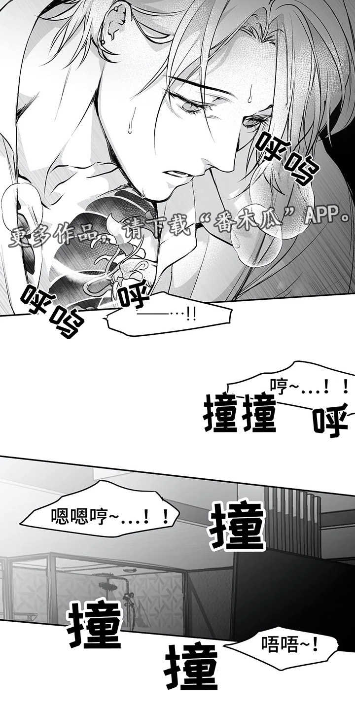 拳击手漫画,第38章：不一样1图