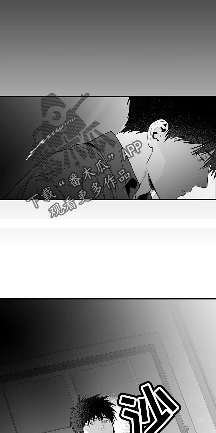 拳击手漫画,第212章：【第三季】条件是什么来着1图
