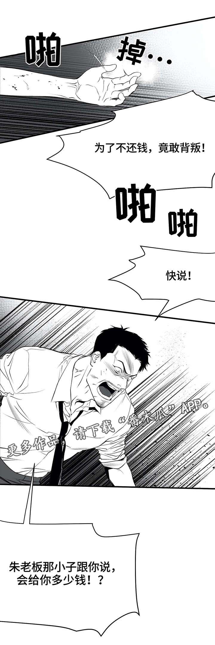 拳击手漫画,第9章：新人2图