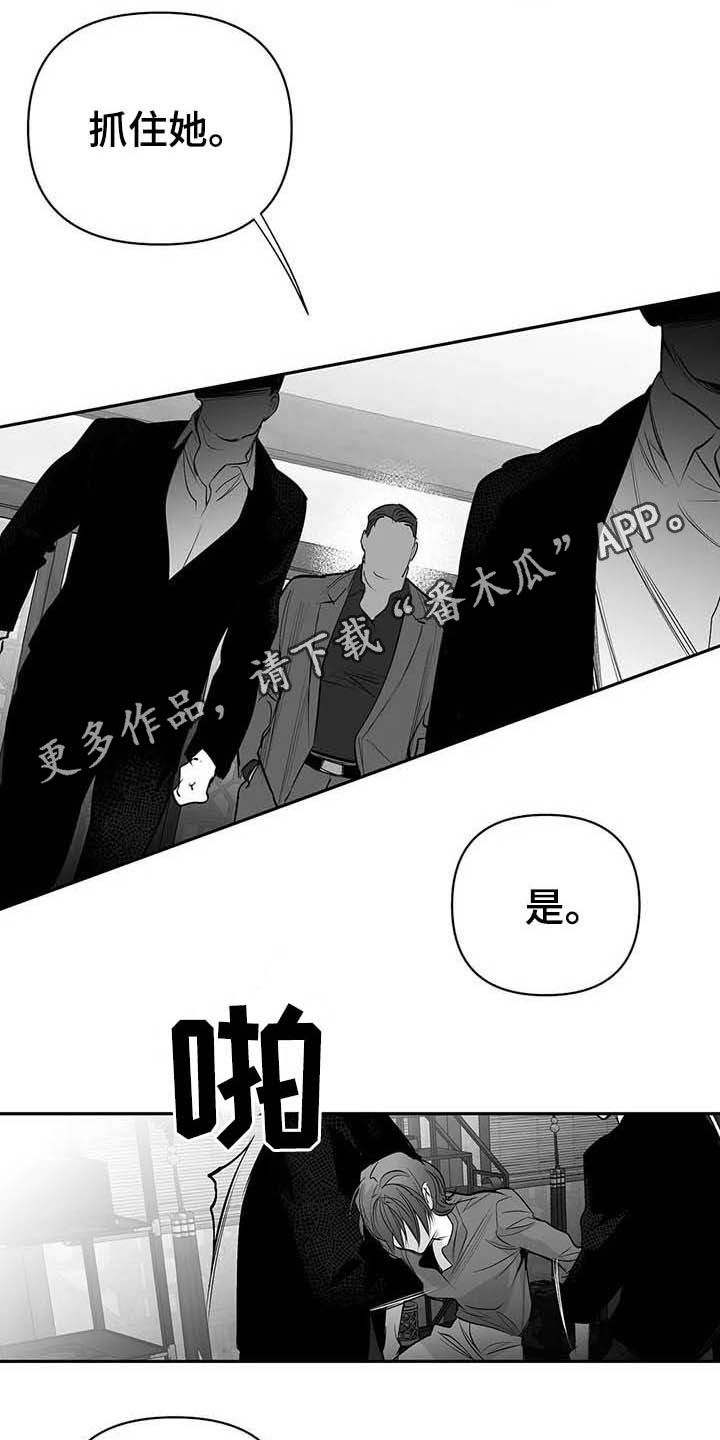 拳击手漫画,第147章：【第三季】赶紧跑1图