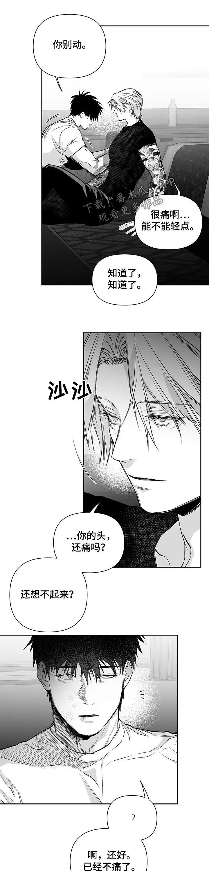 拳击手漫画,第125章：【第二季】站队1图