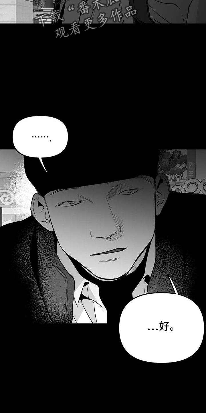 拳击手漫画,第217章：【第三季】戒指1图