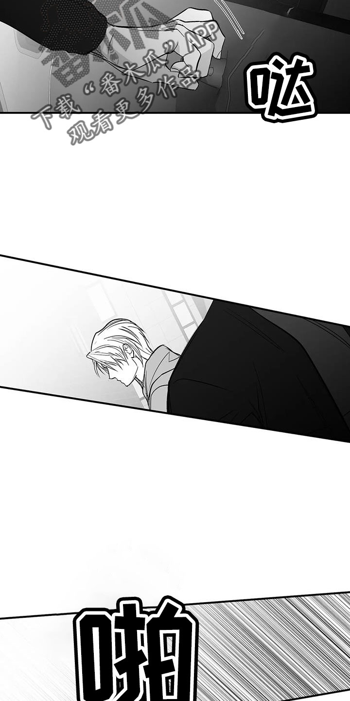拳击手漫画,第213章：【第三季】果然迟2图