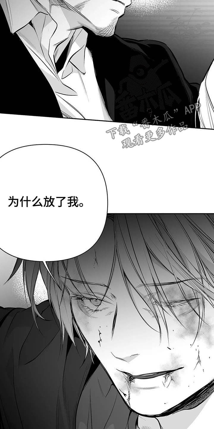拳击手漫画,第148章：【第三季】我可以救你1图