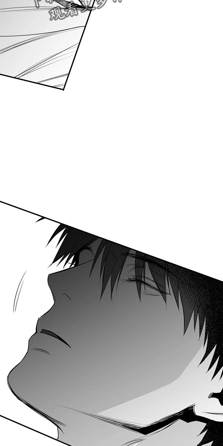 拳击手漫画,第200章：【第三季】开始行动2图