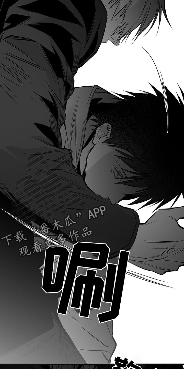 拳击手漫画,第233章：【第三季】我需要钱2图
