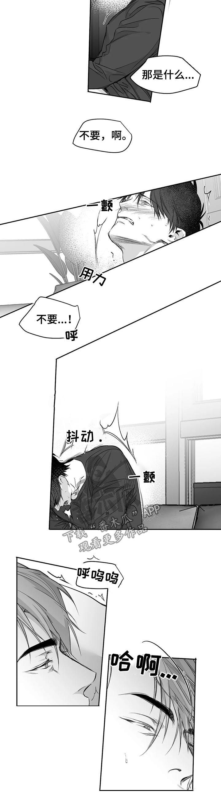 拳击手漫画,第93章：【第二季】不要受伤2图