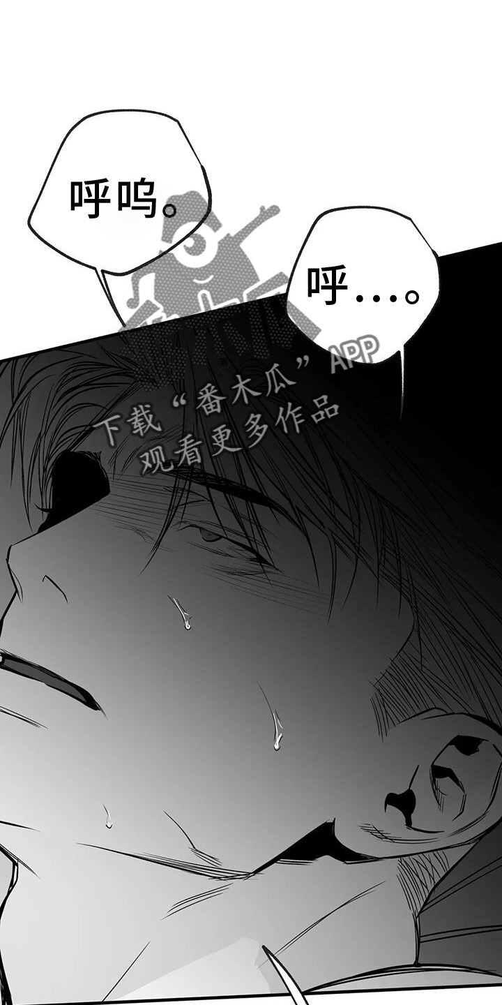 拳击手漫画,第234章：【第三季】表现2图