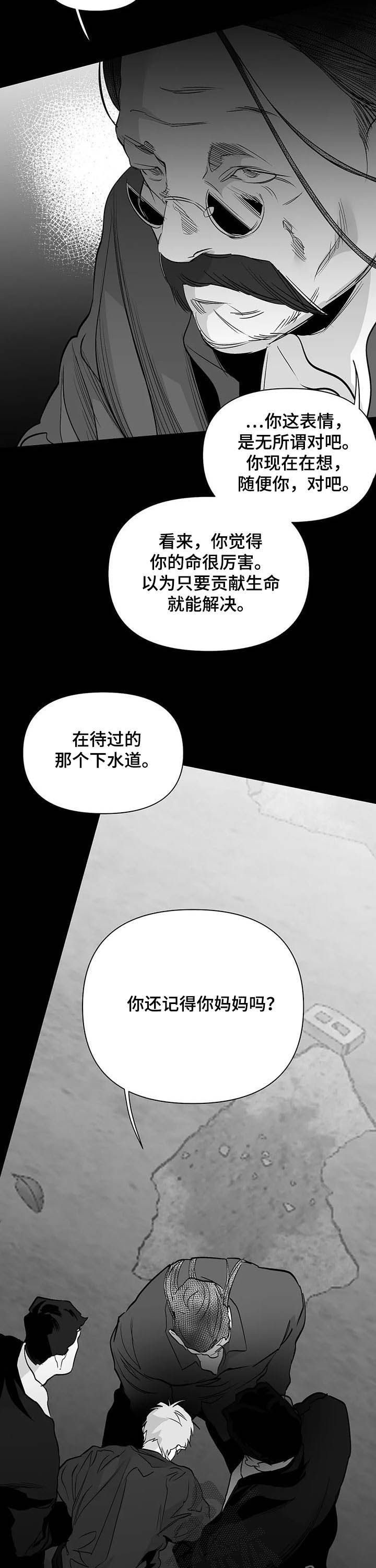 拳击手漫画,第137章：【第二季】天堂2图