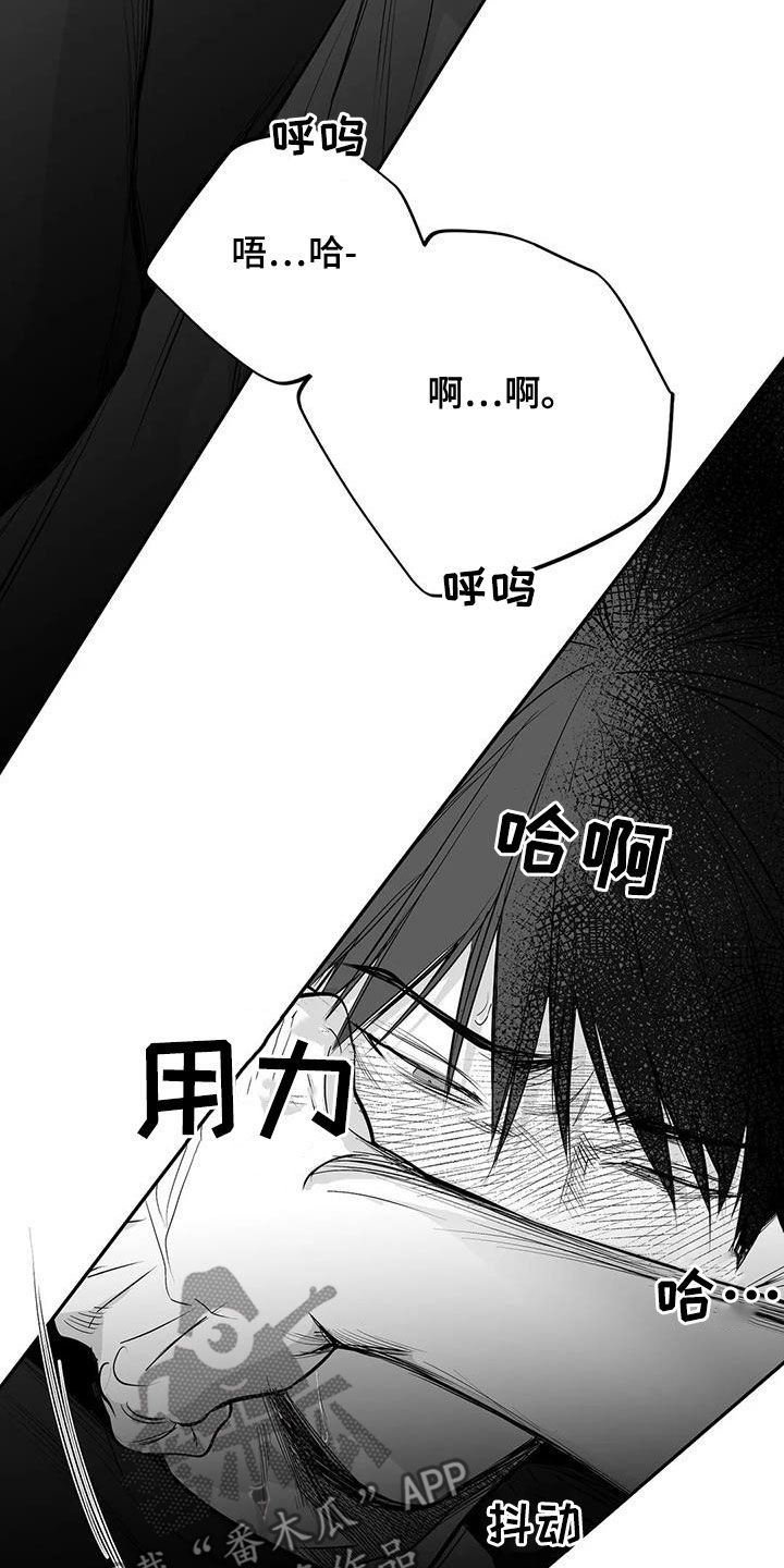 拳击手漫画,第171章：【第三季】期待2图