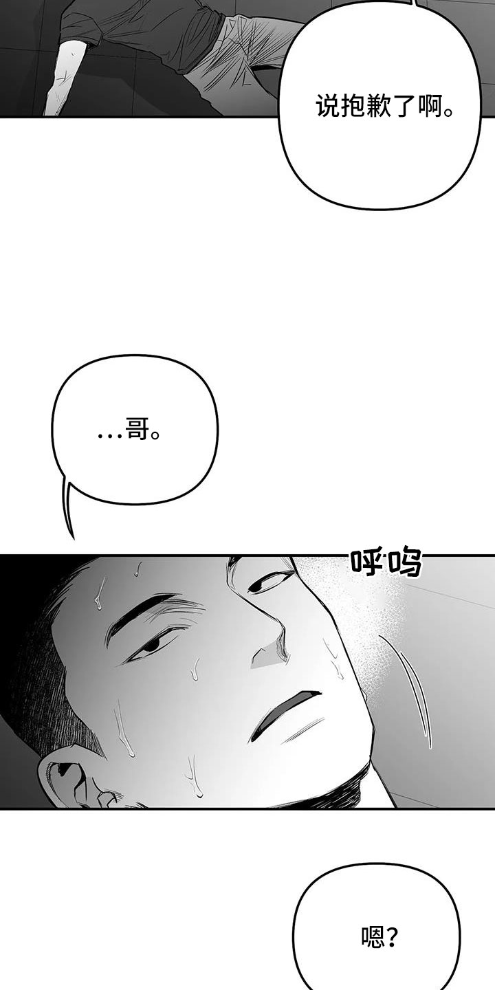 拳击手漫画,第214章：【第三季】那人很危险1图