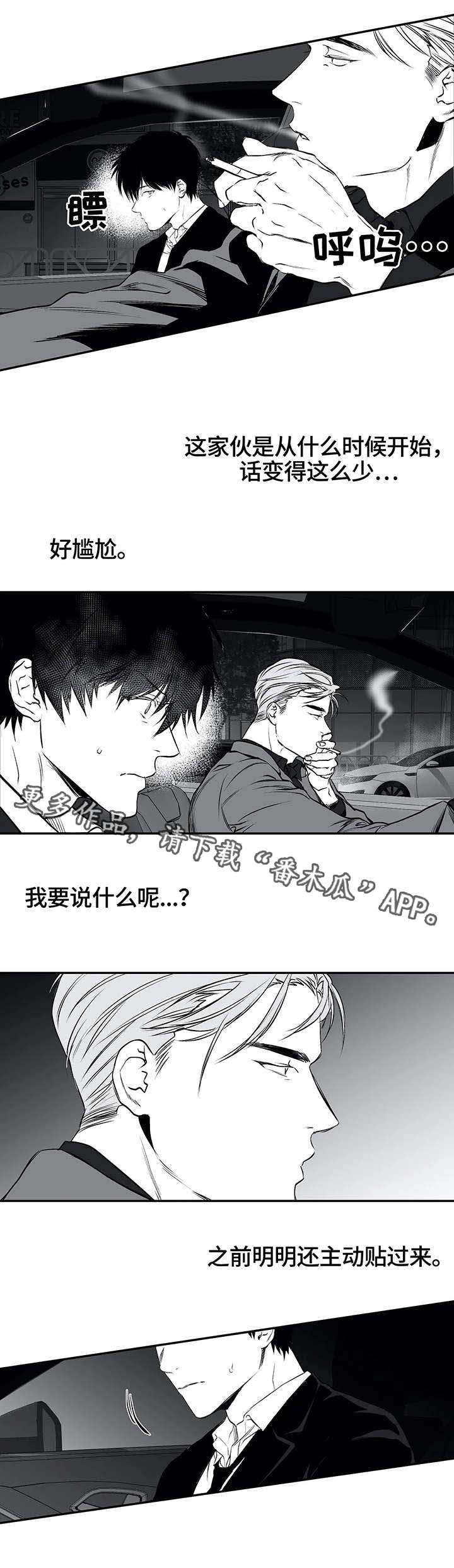 拳击手漫画,第19章：组织1图