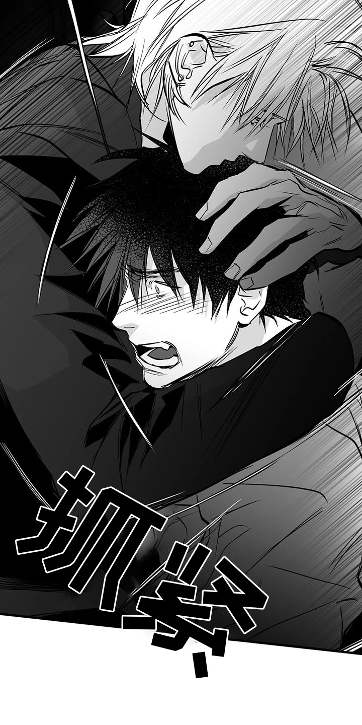 拳击手漫画,第232章：【第三季】不要讨厌我1图