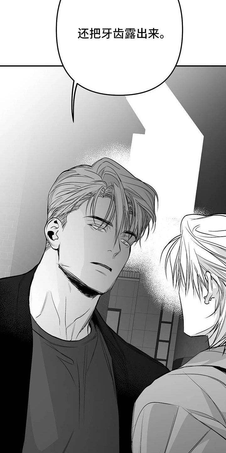拳击手漫画,第213章：【第三季】果然迟1图