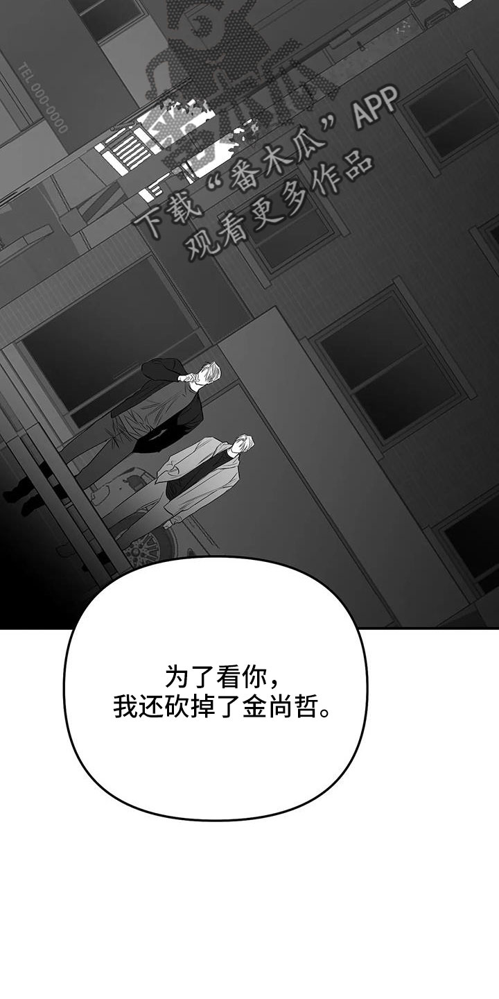 拳击手漫画,第212章：【第三季】条件是什么来着1图
