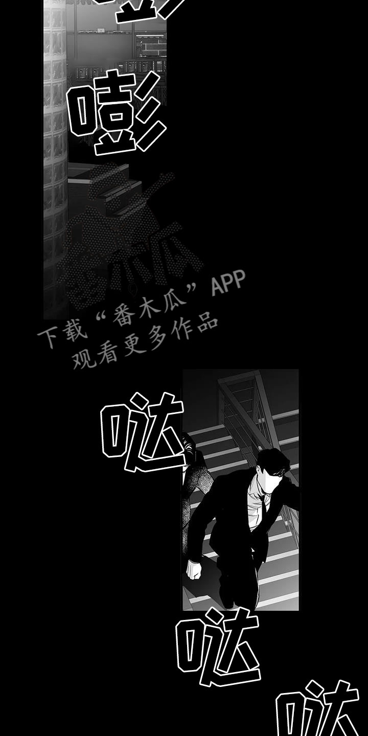 拳击手漫画,第210章：【第三季】替你看2图