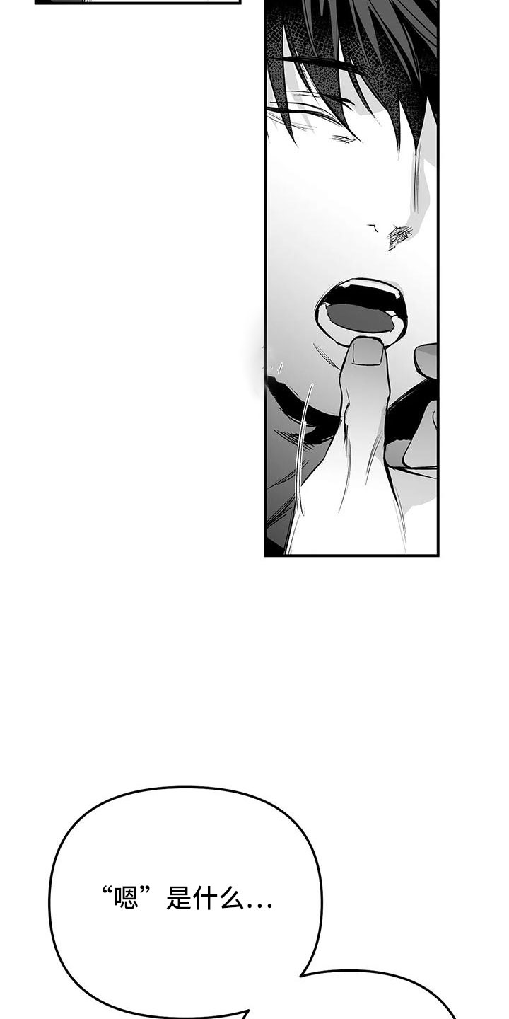 拳击手漫画,第199章：【第三季】怎么才能喜欢1图