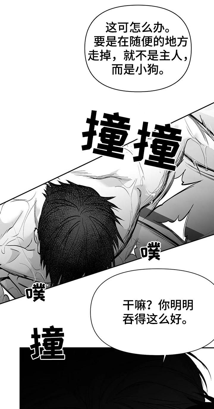 拳击手漫画,第112章：【第二季】很好奇1图