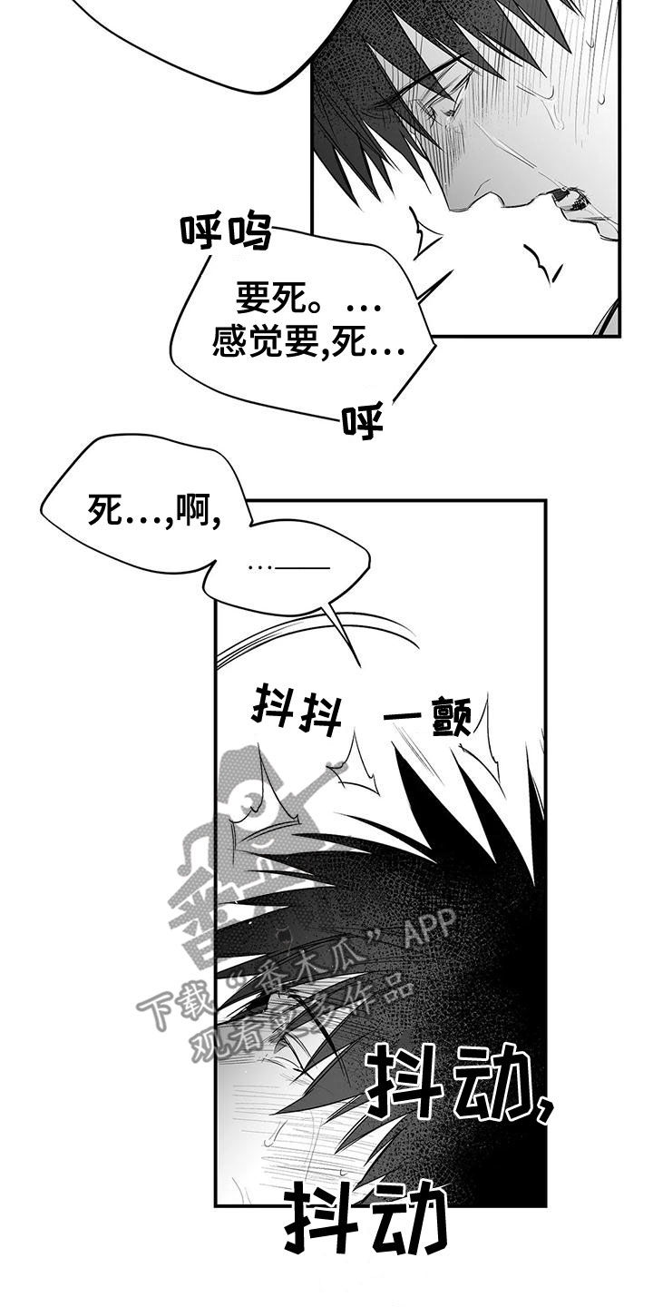 拳击手漫画,第190章：【第三季】开心2图