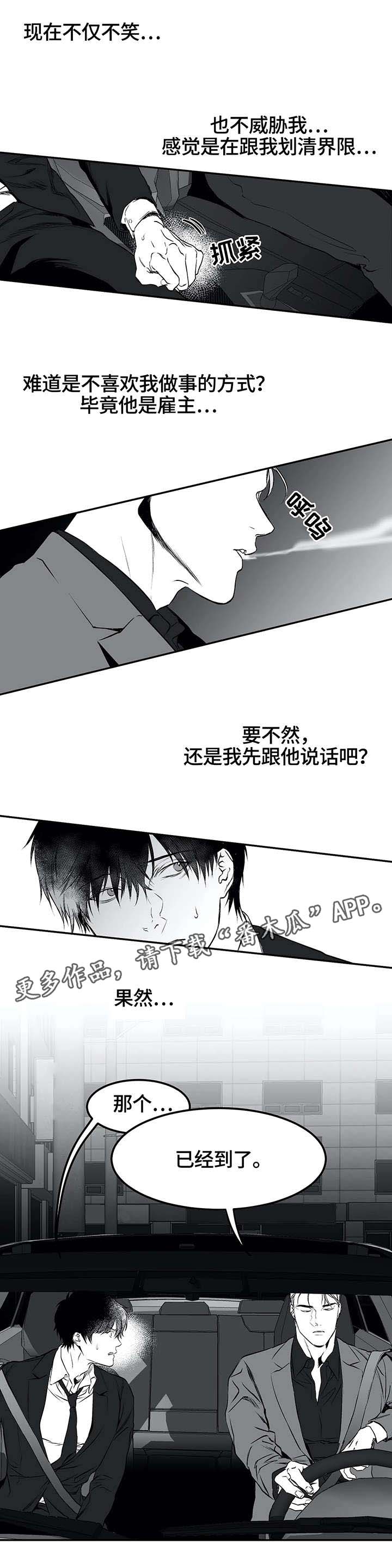 拳击手漫画,第19章：组织2图