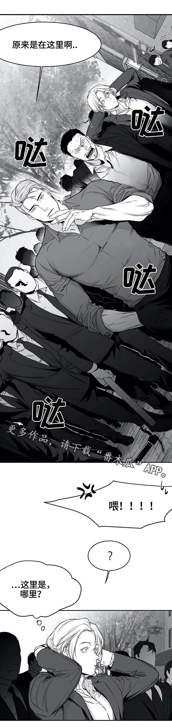 拳击手漫画,第31章：打砸2图