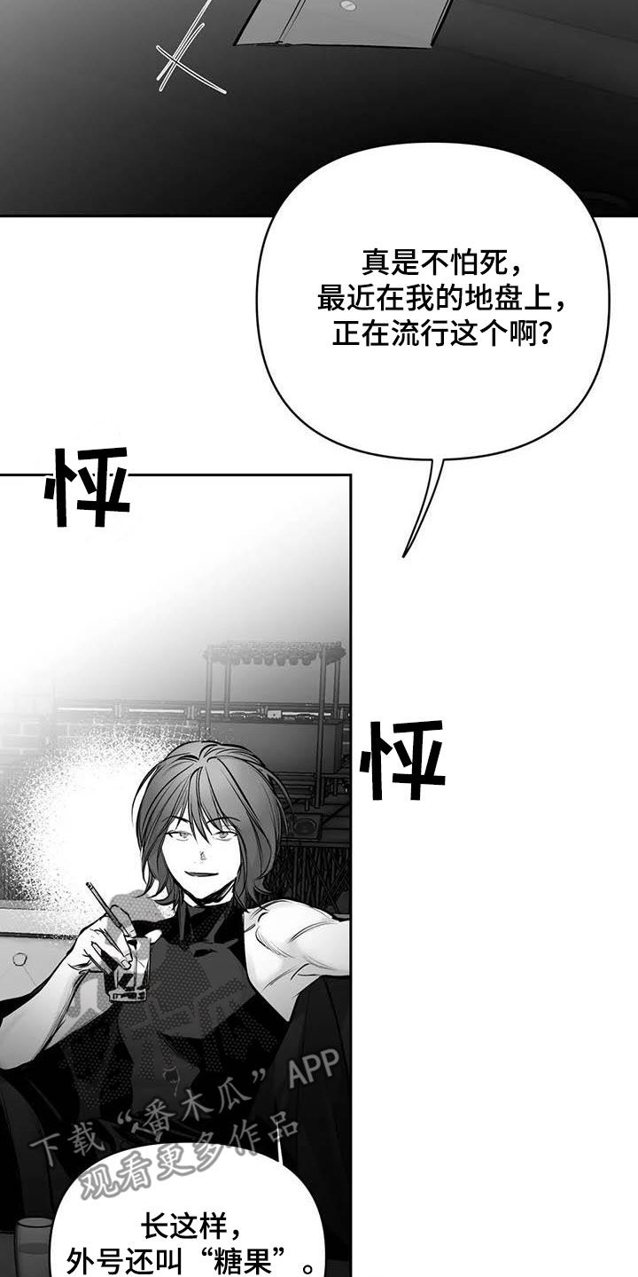 拳击手漫画,第166章：【第三季】傻瓜1图