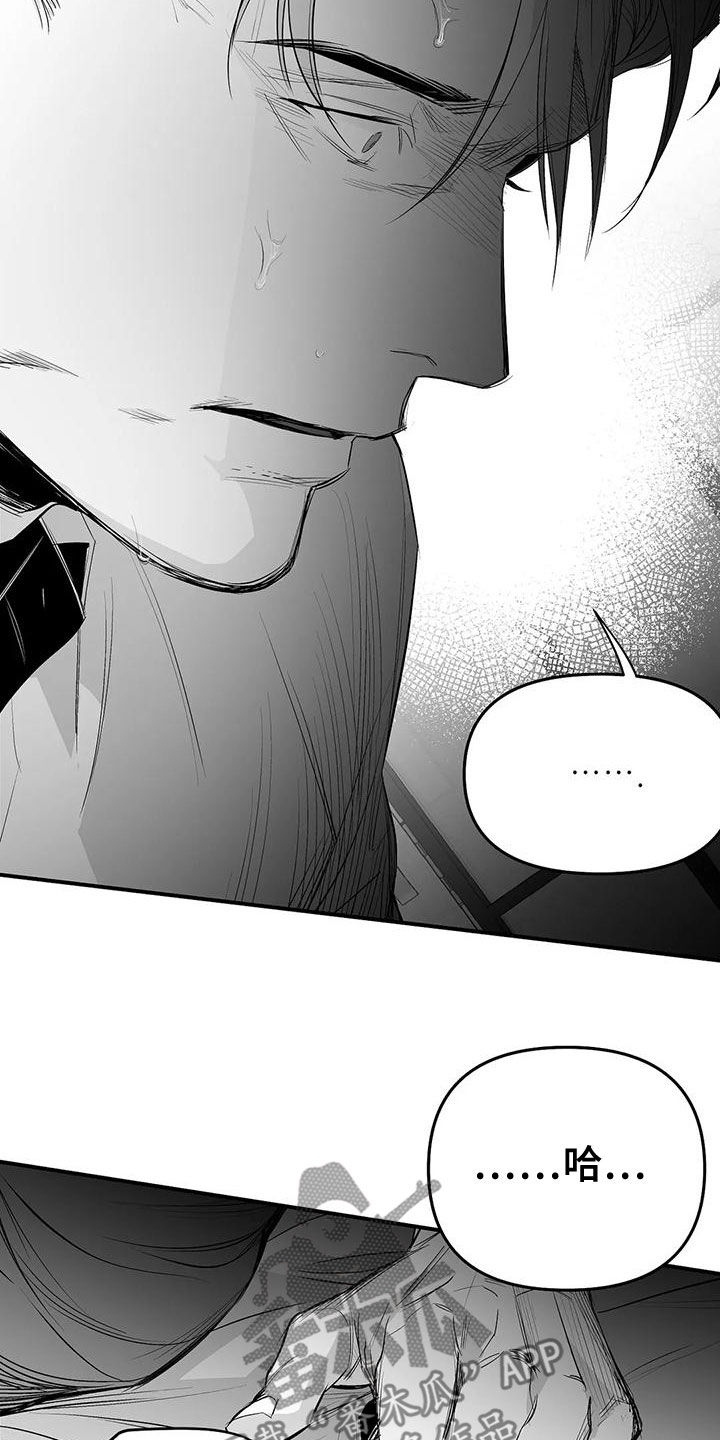 拳击手漫画,第190章：【第三季】开心2图