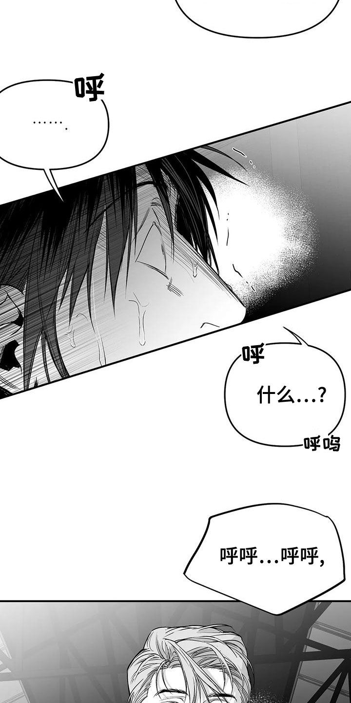 拳击手漫画,第193章：【第三季】都是因为你1图