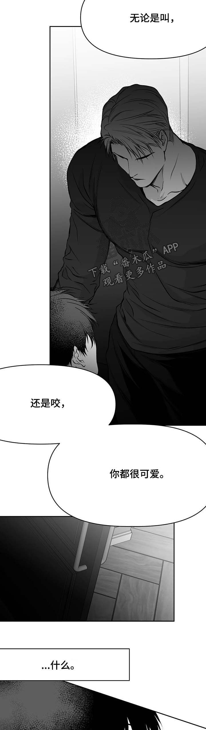拳击手漫画,第73章：现在开始管管2图