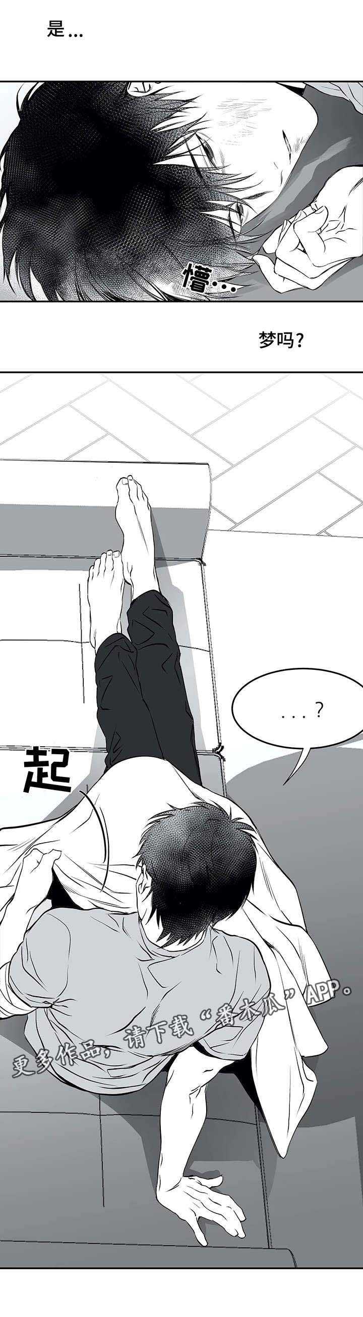 拳击手漫画,第19章：组织2图