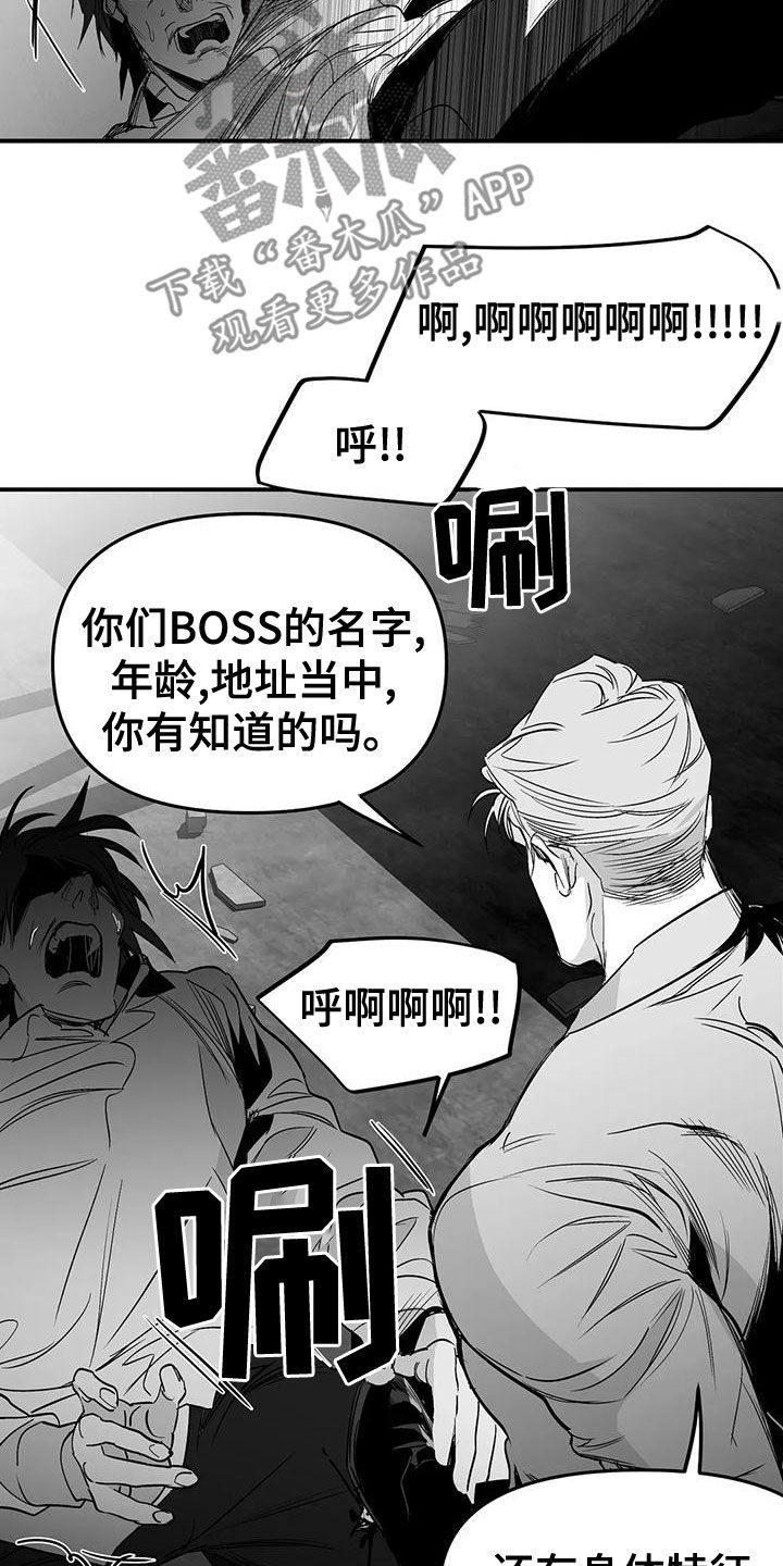 拳击手漫画,第193章：【第三季】都是因为你2图