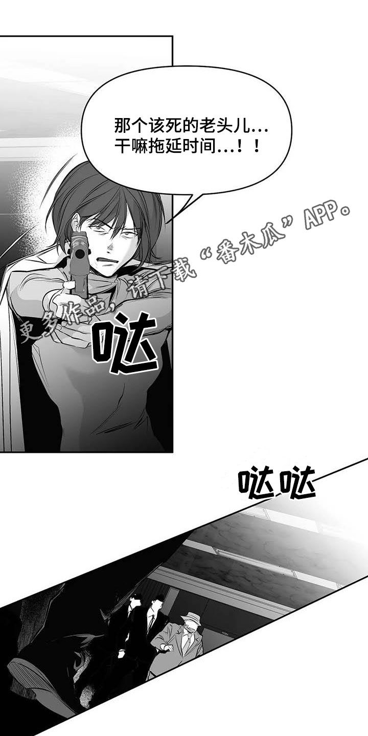 拳击手漫画,第160章：【第三季】亲自收拾1图