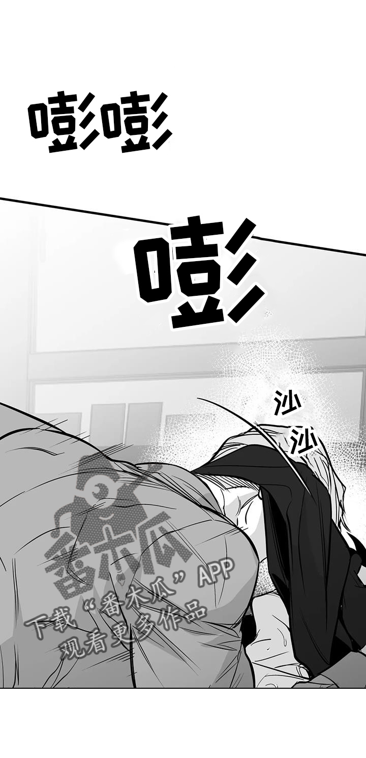 拳击手漫画,第237章：【第三季】闪耀2图