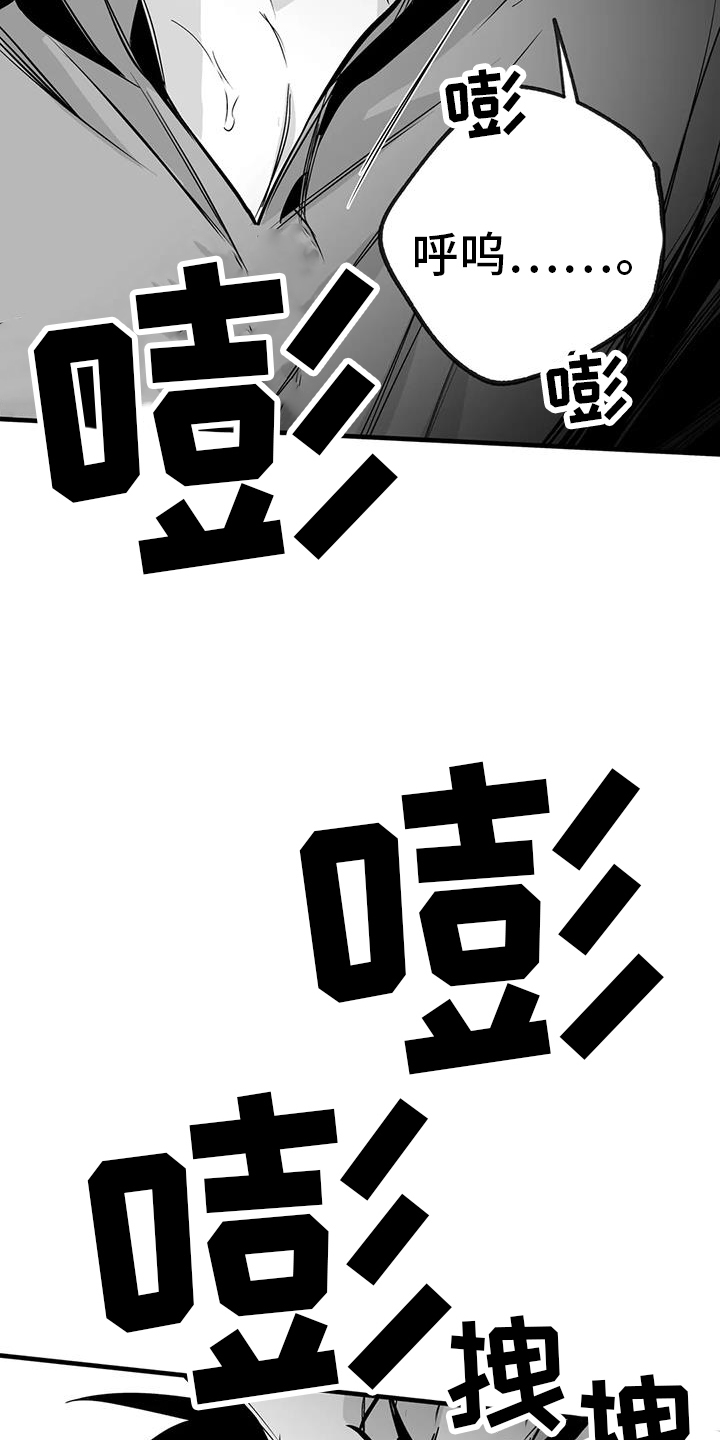 拳击手漫画,第237章：【第三季】闪耀1图