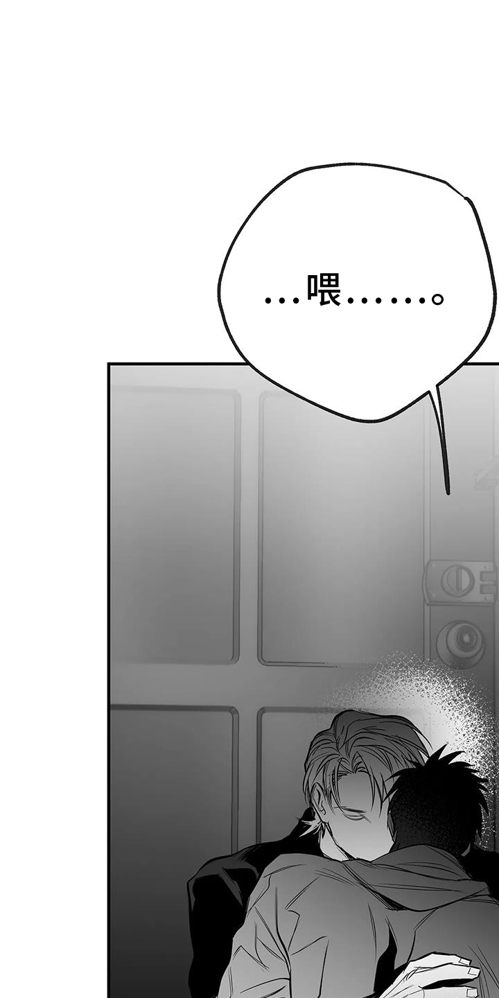 拳击手漫画,第231章：【第三季】恢复1图
