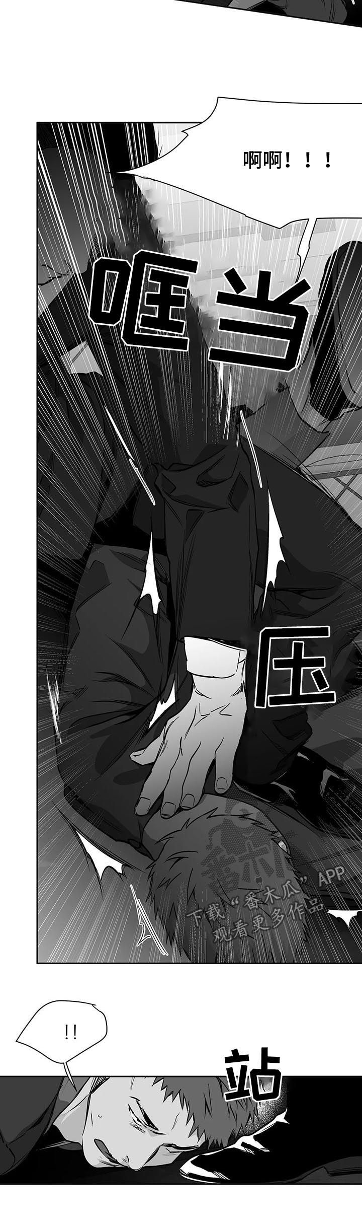 拳击手漫画,第79章：找人1图
